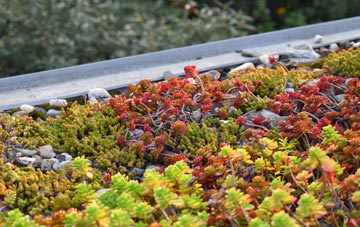 the cost of Roundswell green roof installation