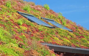 Roundswell living roof systems